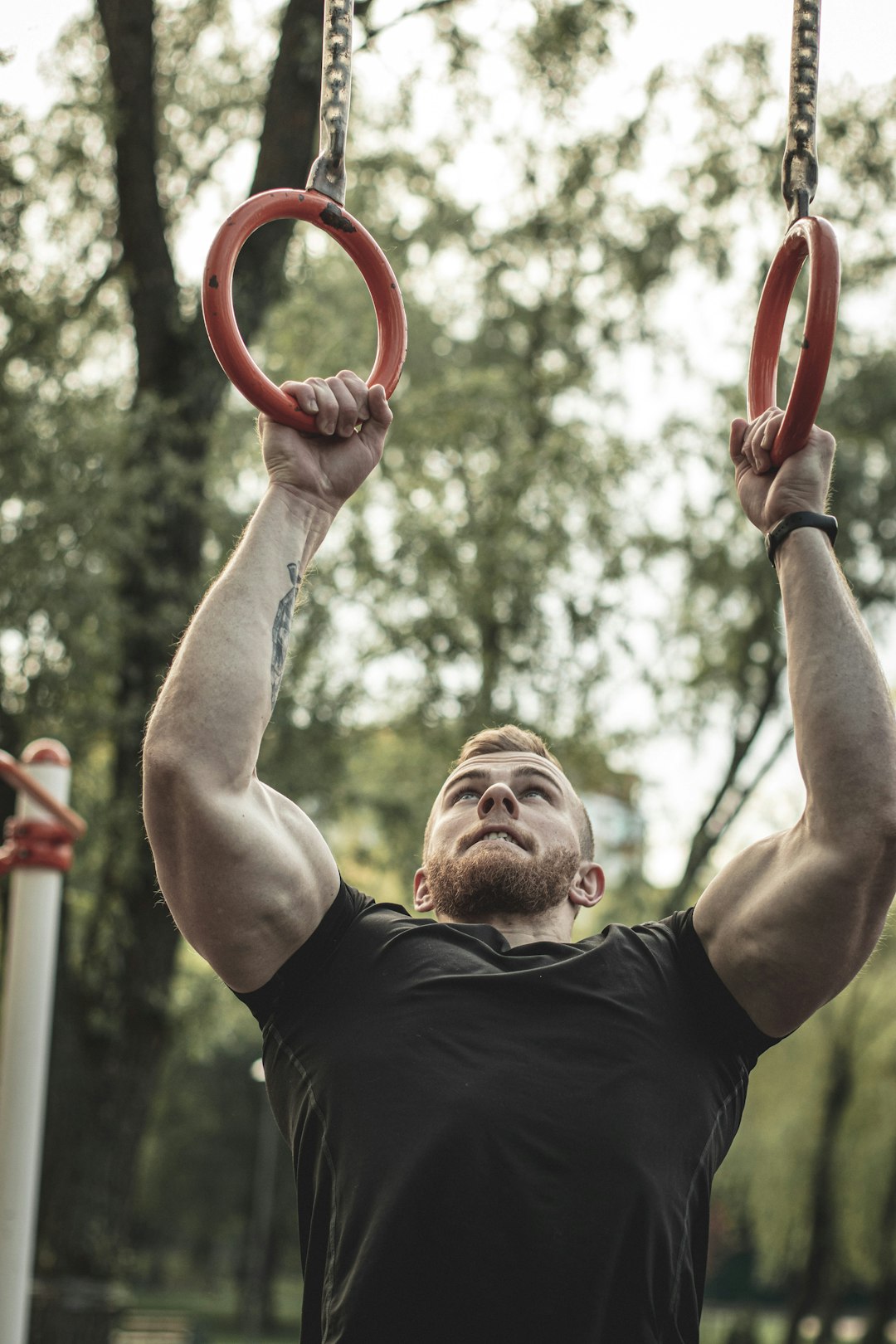 5 Grundlagen erfolgreicher Body Transformation